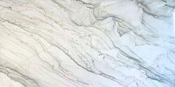 Invictus White - tlpj2twth1yu44rfjs8d@2x.jpg