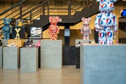 Romantic Ash - wroea7rflyvaur7jhcdm_7ad009ff-7f8f-4b03-bb28-643dd0f20a44@2x.jpg