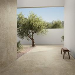 Timeless White - xccn9l3y7mcg7yk0fxbz_b5134416-6166-4dab-8123-418ee2b22735@2x.jpg