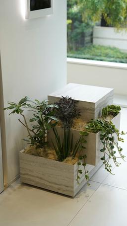 Trevi - xgnlaidmglcn4no73qne_8c80f993-473c-474c-b814-21cea8293d0c@2x.jpg