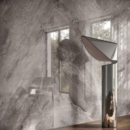 Supreme Silver - xysym6fooz1s6aac58au_01c08f5c-f4c7-4190-b8e6-3fb5698fe509@2x.jpg