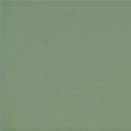 BG OLIVE GREEN 3X6 - yjgkqmqbxazf06eqwaf4_1e48c82d-1bb1-4ccc-baf0-fec8e004ff69@2x.jpg