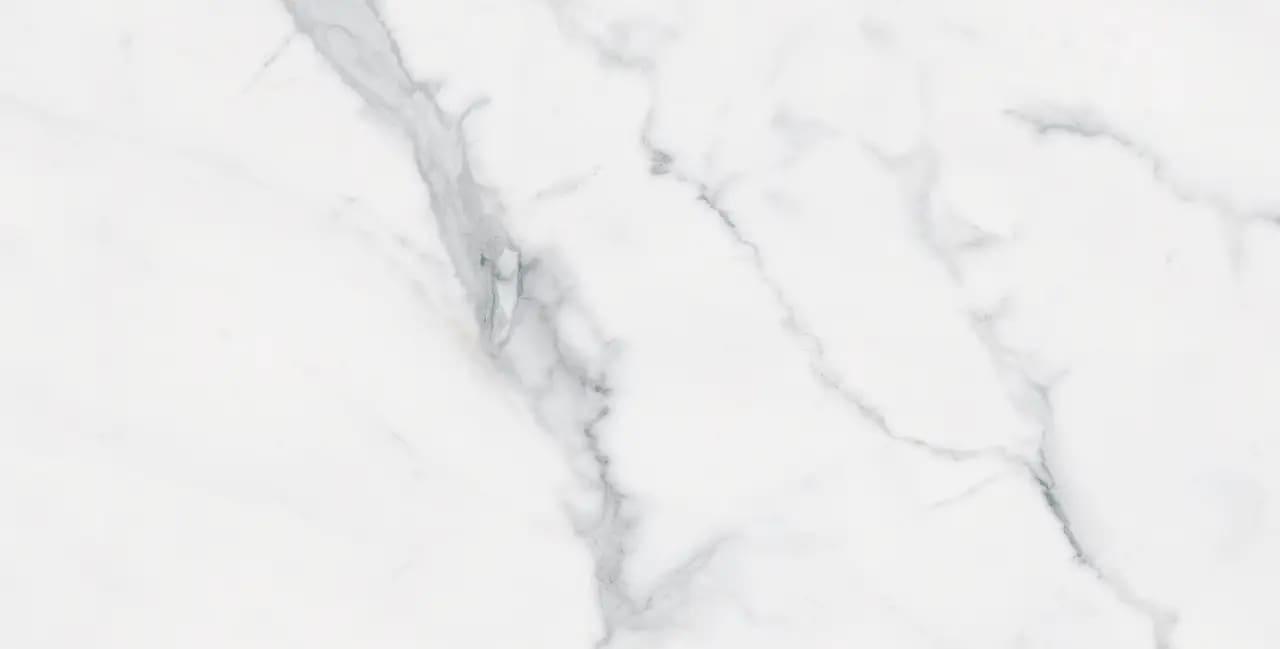 BIANCO VENATINO UP 12X24 R