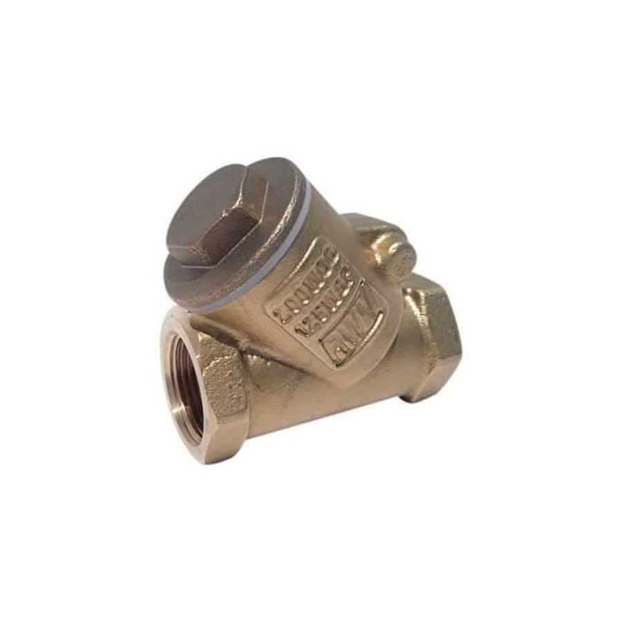 Swing Check Valve, 1/2 in, FNPT, Brass
