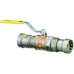 1-Piece Ball Valve, 3/4 in, Union Press, Full Port, Stainless Steel Ball, Bronze - zjnyf7w2hpkzngoczj7p_e563b460-0915-4e64-9f78-8cdbfb9a936e@2x.jpg