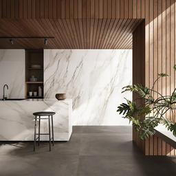 Alma Statuario Michelangelo - zxstskw5fj7rk4stemgm_6d5306ff-a58b-4cd5-9a7f-56cc5ce8fc43@2x.jpg